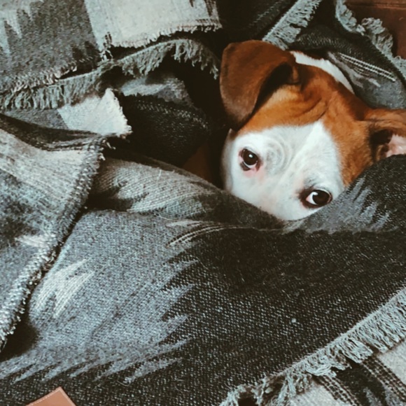 Meet your Posher, Sage - Picture 1 of 1